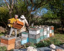 G37A0635 29/04/2019 - De passage chez nos amis Martinez à Sierra de la Ventana, un p'tit coup de main dans les ruchers. Short stop at our friends the Martinez in Sierra...